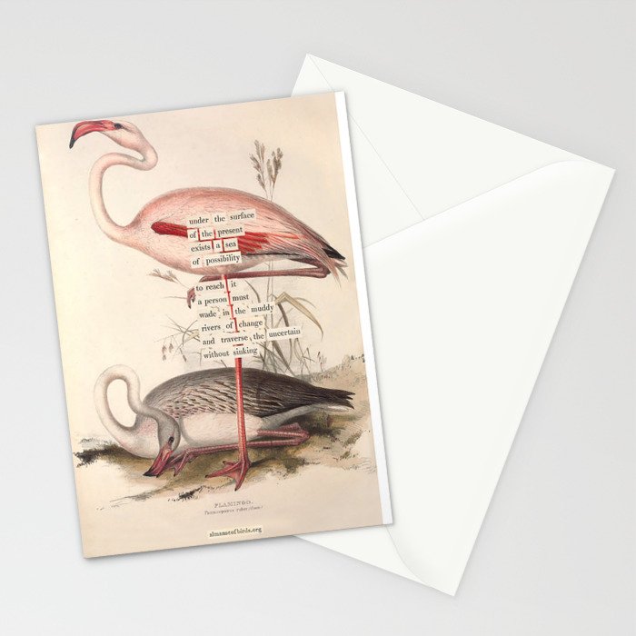 Bird Divinations: Flamingo (about: almanacofbirds.org) Stationery Card Gallery Image 2