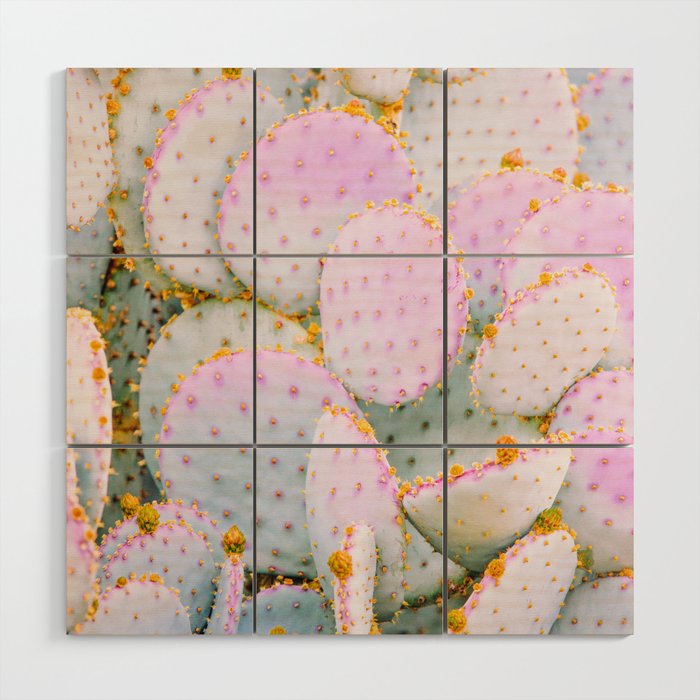 prickly pear cactus wall art Prickly Pear Photography Pastel Cactus Wood Wall Art – Society6