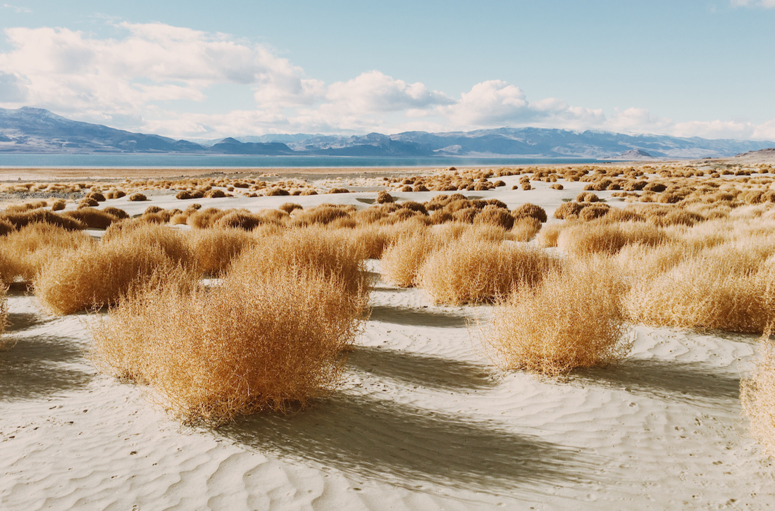 Kevin Russ' photography