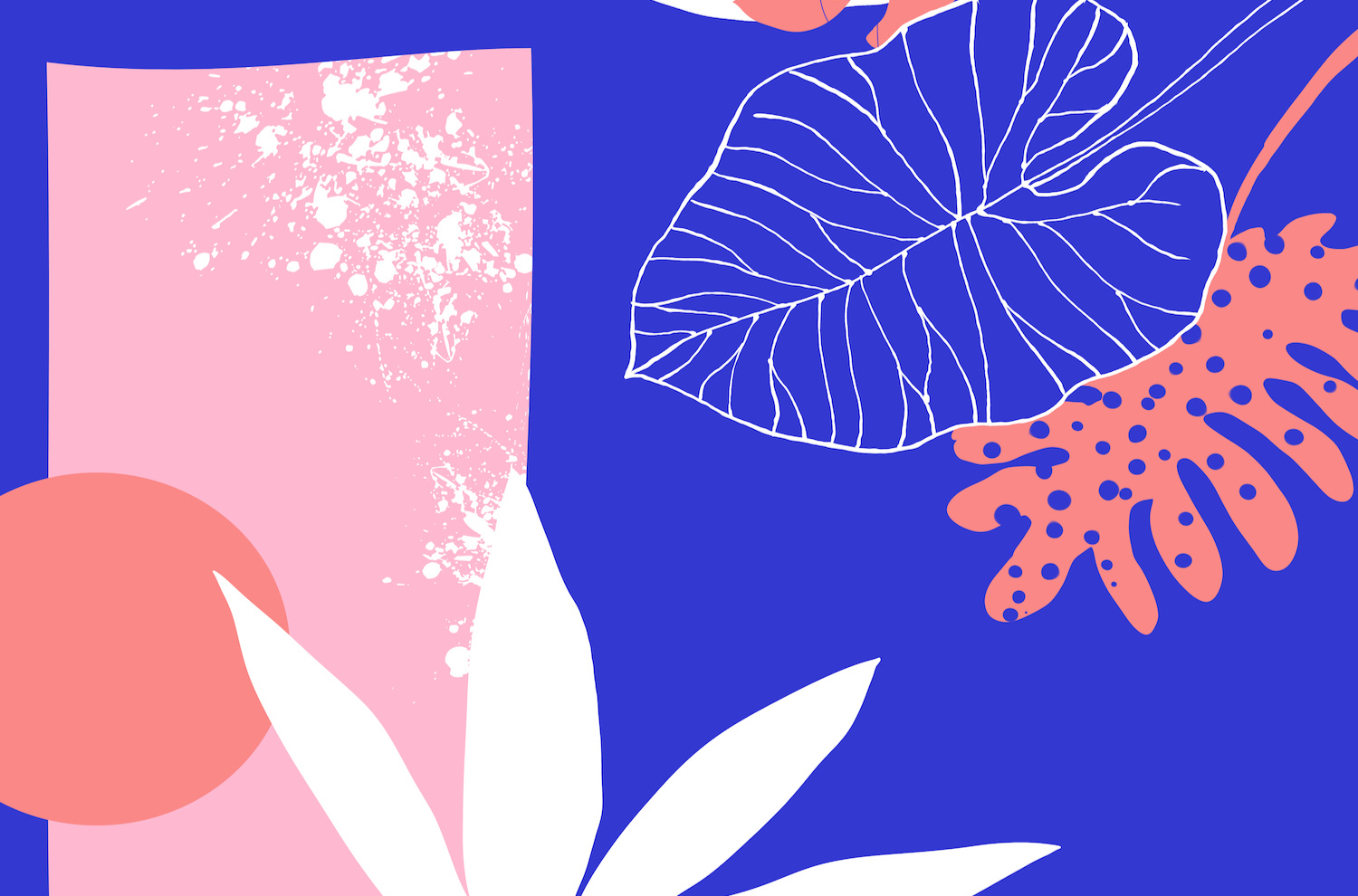 Doris Cici's illustrations