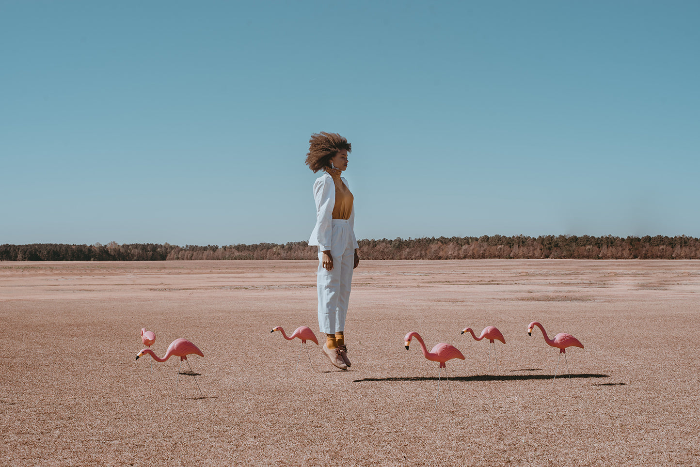 Taylor Jarvis' photography