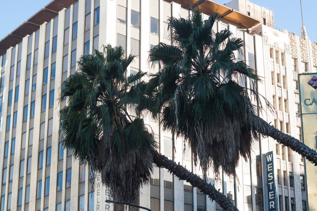 LA Artists On How They Actually Make Money