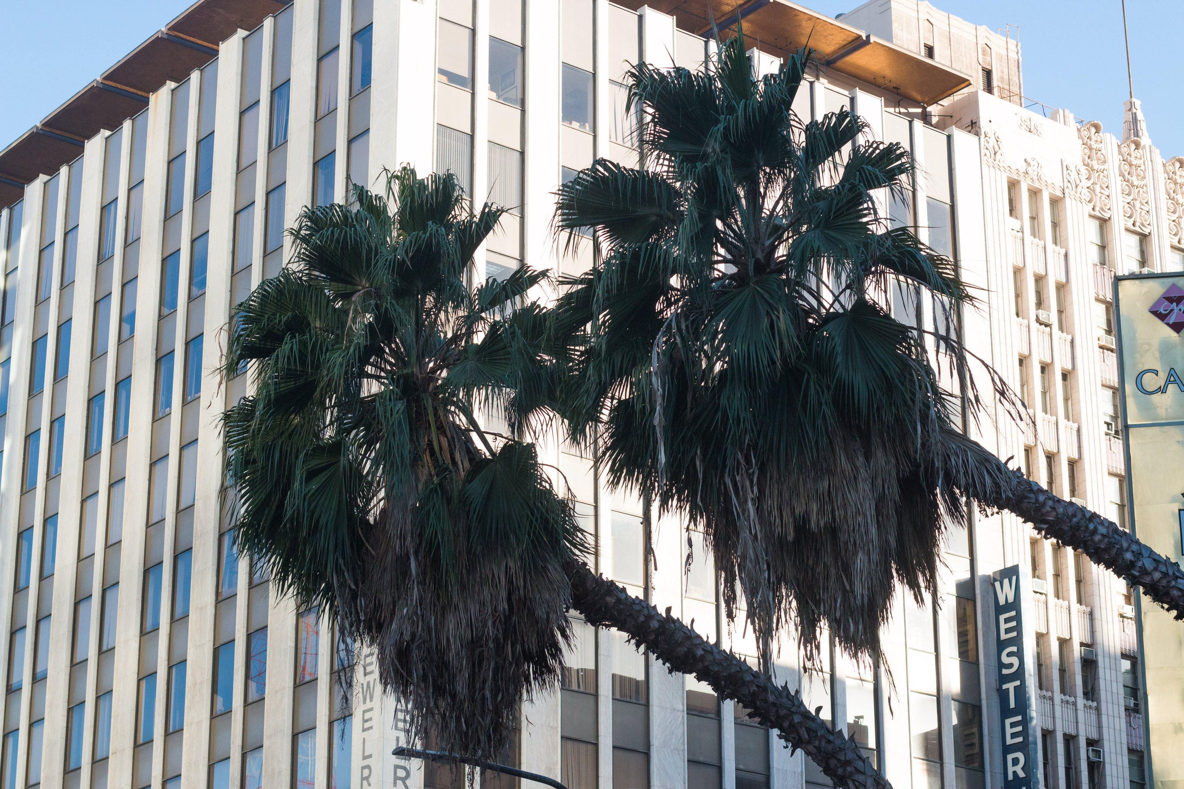 LA Artists On How They Actually Make Money