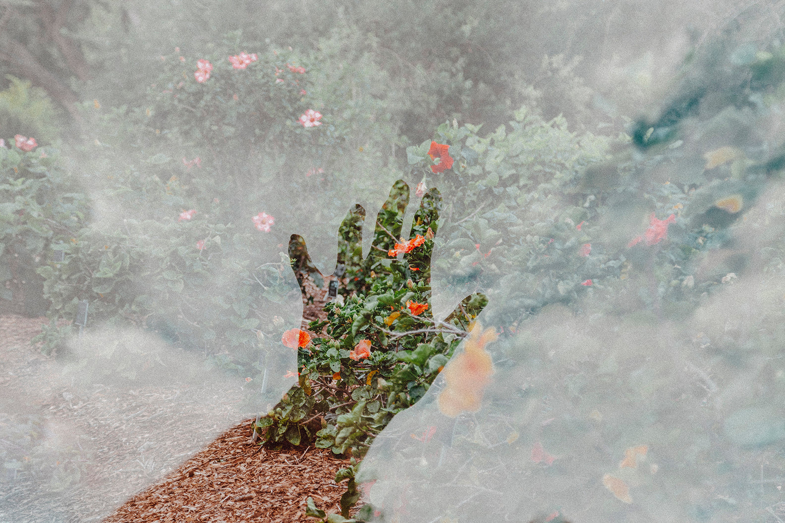 Vanda Pap's photography