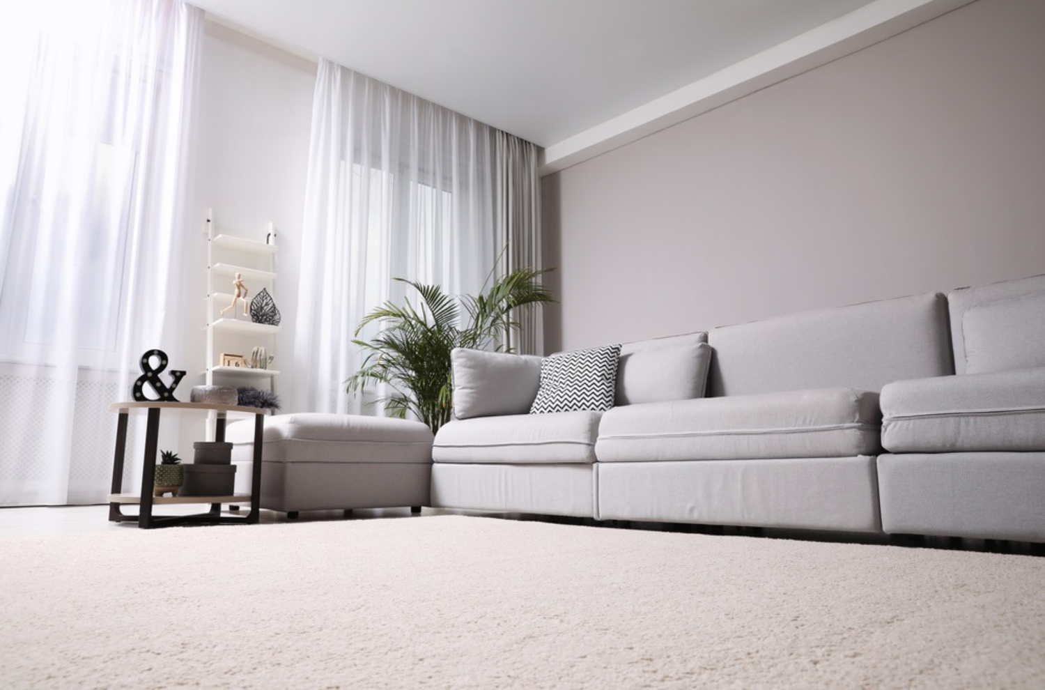 An area rug on a rug in a living room
