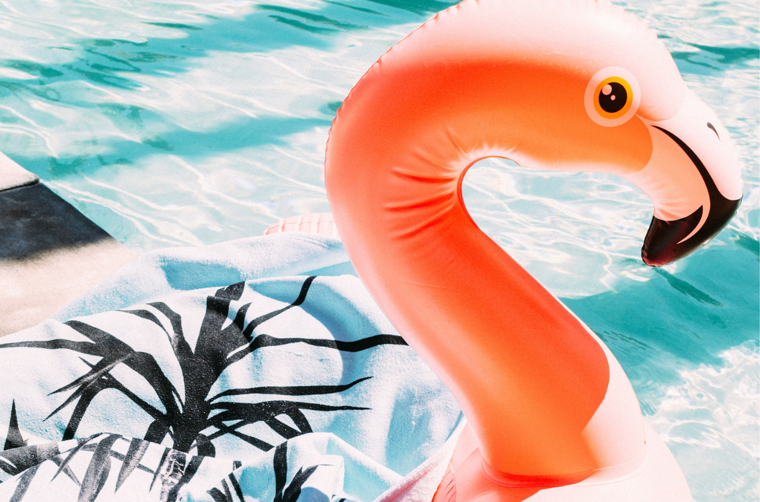 A flamingo floaty in a pool