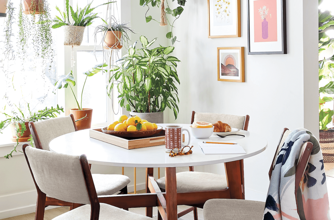 A nicely decorated dining room