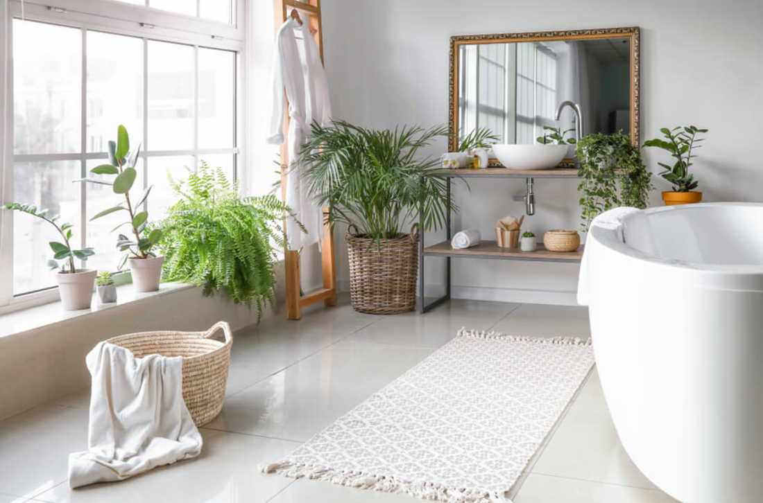 A spacious bathroom with a rug