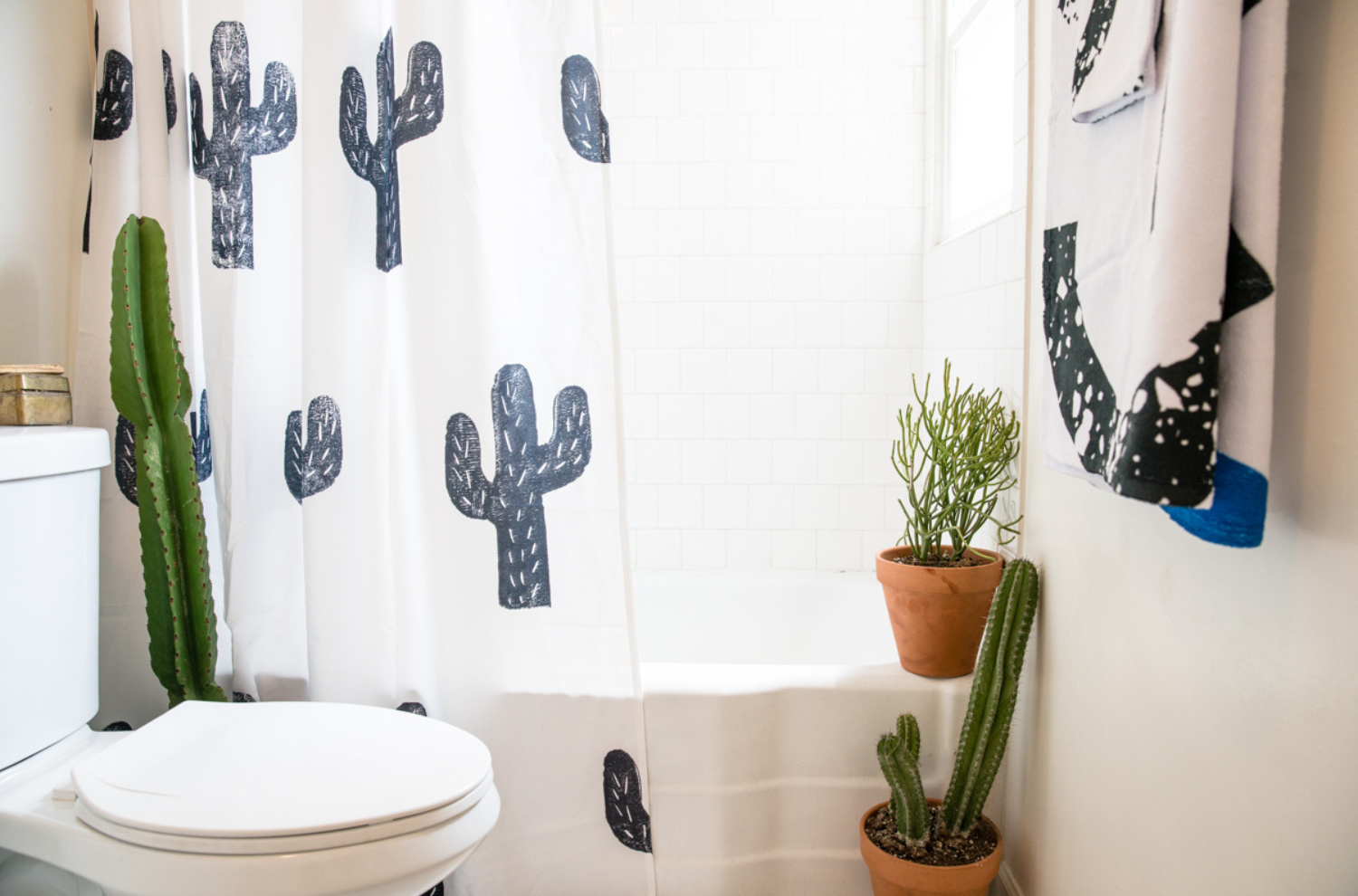 A cactus-themed bathroom