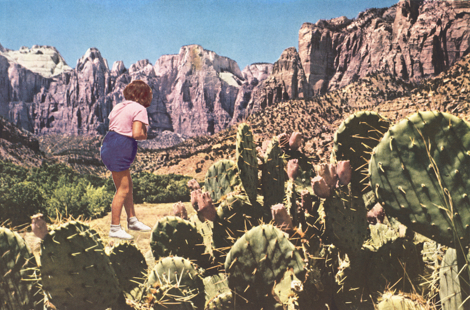 A graphic design piece of a woman in a cactus field