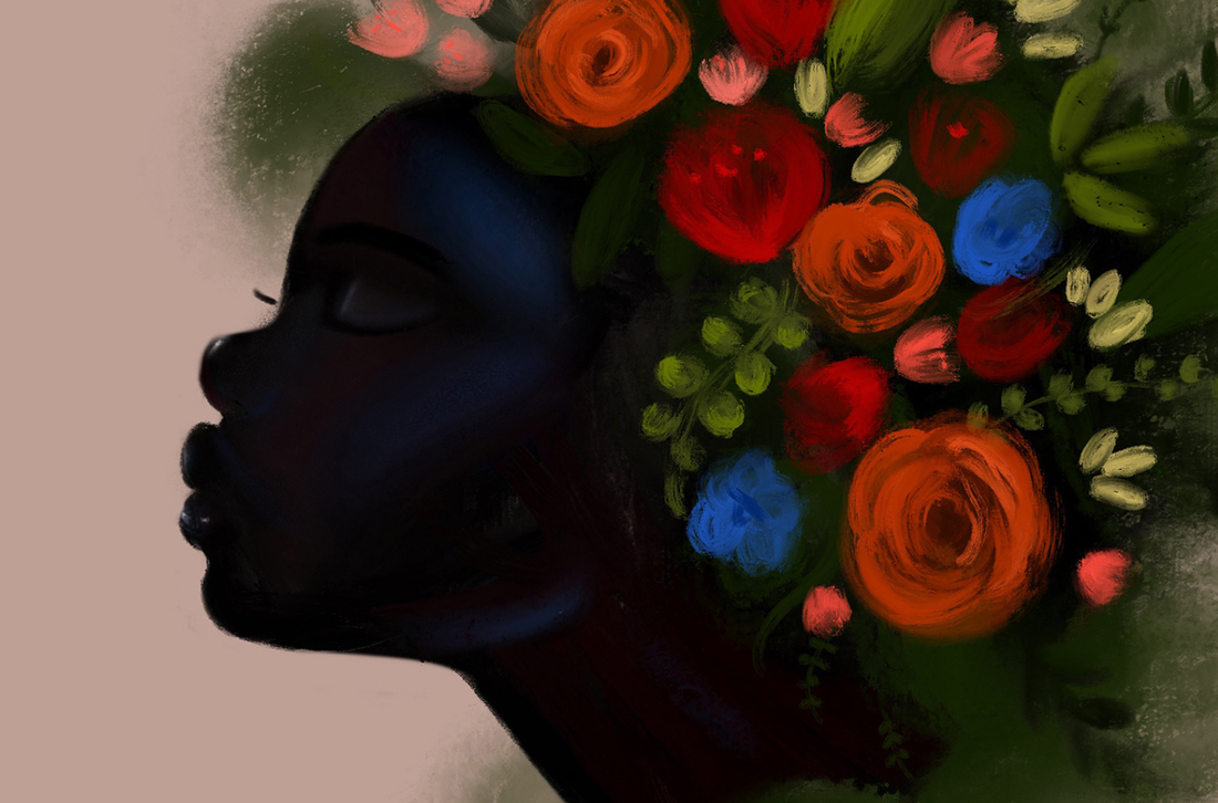 Vashti Harrison's illustrations