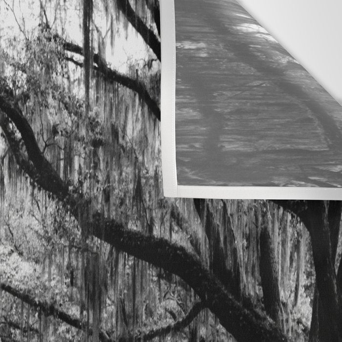 Spanish Moss on Southern Live Oak Trees black and white photograph / black and white art photography Wall Tapestry Gallery Image 3