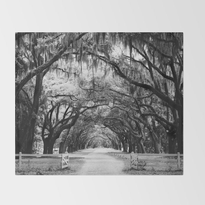 Spanish Moss on Southern Live Oak Trees black and white photograph / black and white art photography Throw Blanket Gallery Image 2