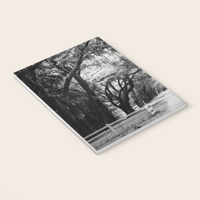 Spanish Moss on Southern Live Oak Trees black and white photograph / black and white art photography Notebook Gallery Image 3