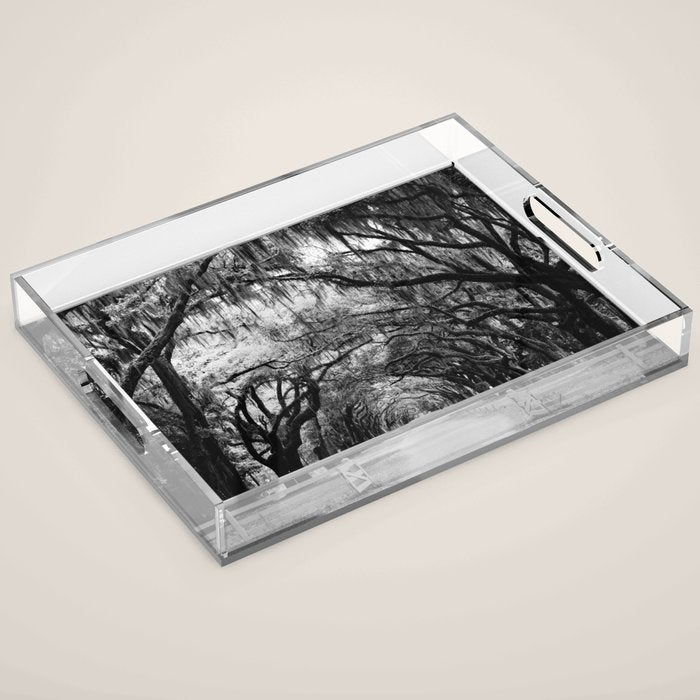 Spanish Moss on Southern Live Oak Trees black and white photograph / black and white art photography Acrylic Tray Gallery Image 1