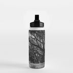 Spanish Moss on Southern Live Oak Trees black and white photograph / black and white art photography Water Bottle Gallery Image 2