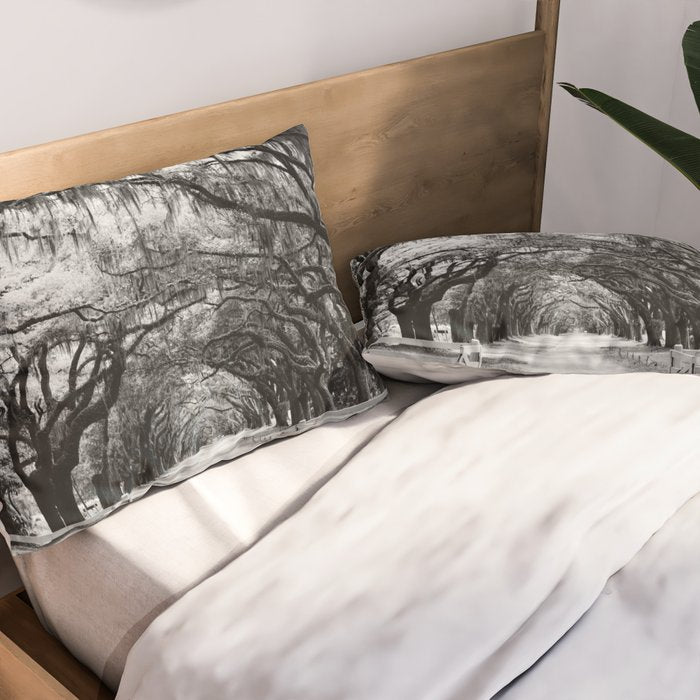 Spanish Moss on Southern Live Oak Trees black and white photograph / black and white art photography Pillow Sham Gallery Image 2