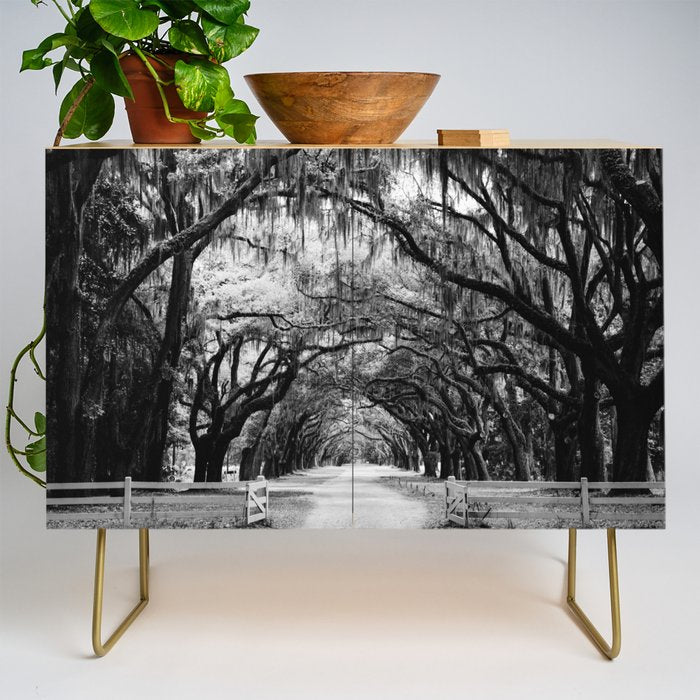 Spanish Moss on Southern Live Oak Trees black and white photograph / black and white art photography Credenza Gallery Image 1