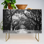 Spanish Moss on Southern Live Oak Trees black and white photograph / black and white art photography Credenza Gallery Image 1