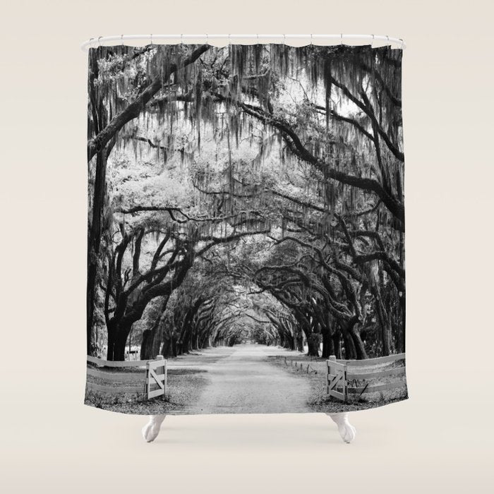 Spanish Moss on Southern Live Oak Trees black and white photograph / black and white art photography Shower Curtain Gallery Image 1