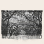 Spanish Moss on Southern Live Oak Trees black and white photograph / black and white art photography Wall Hanging Gallery Image 1