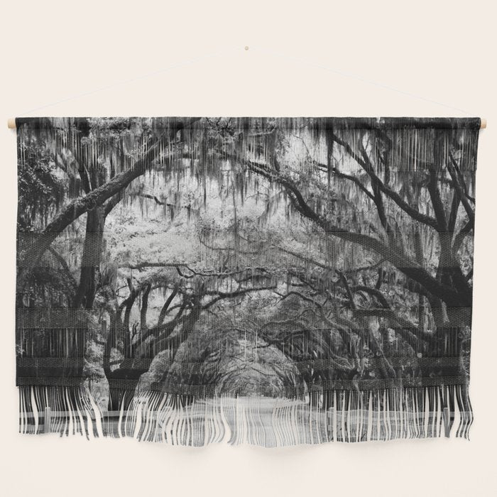 Spanish Moss on Southern Live Oak Trees black and white photograph / black and white art photography Wall Hanging Gallery Image 1