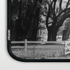 Spanish Moss on Southern Live Oak Trees black and white photograph / black and white art photography Laptop Sleeve Gallery Image 3