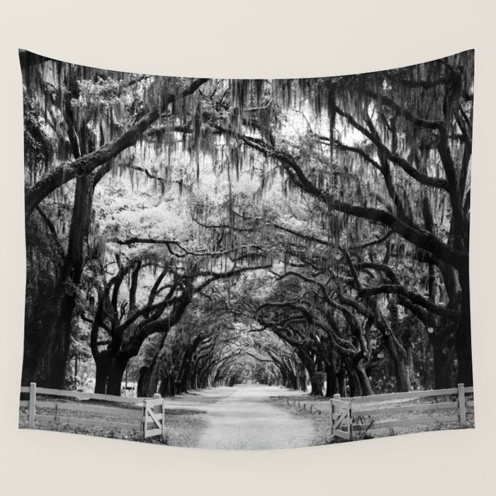 Spanish Moss on Southern Live Oak Trees black and white photograph / black and white art photography Wall Tapestry Gallery Image 1