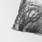Spanish Moss on Southern Live Oak Trees black and white photograph / black and white art photography Pillow Sham Gallery Image 4