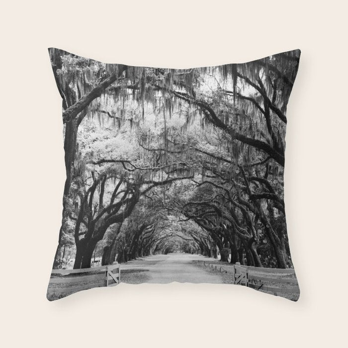 Spanish Moss on Southern Live Oak Trees black and white photograph / black and white art photography Throw Pillow Gallery Image 6