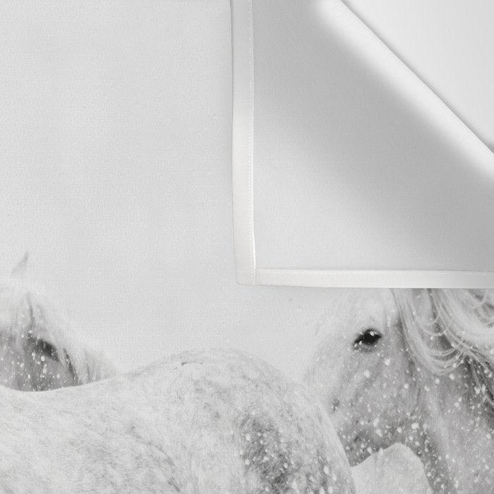 Wild Horses - Black and White Photography Wall Tapestry Gallery Image 3