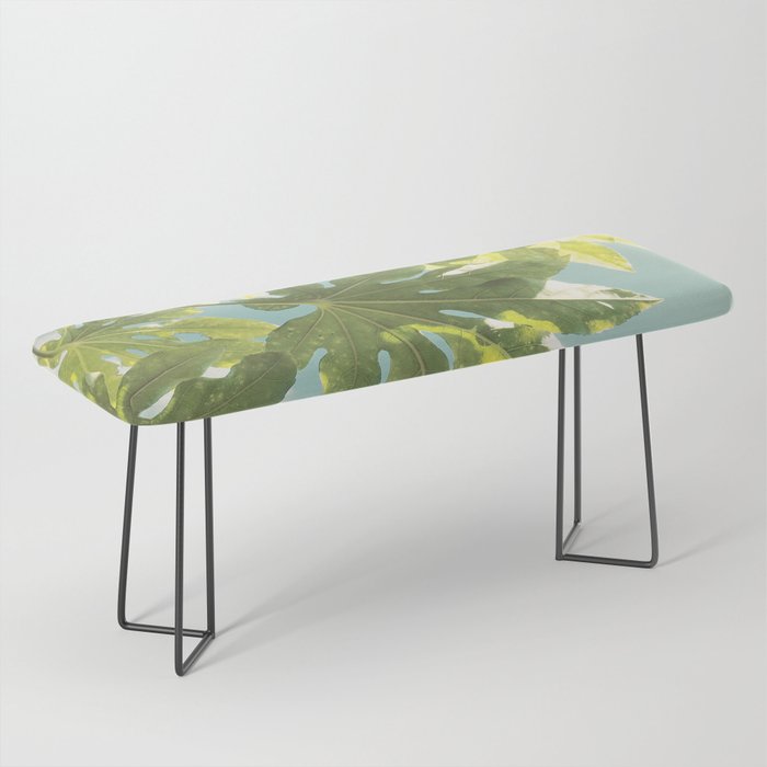 Fig Leaves Bench Gallery Image 1