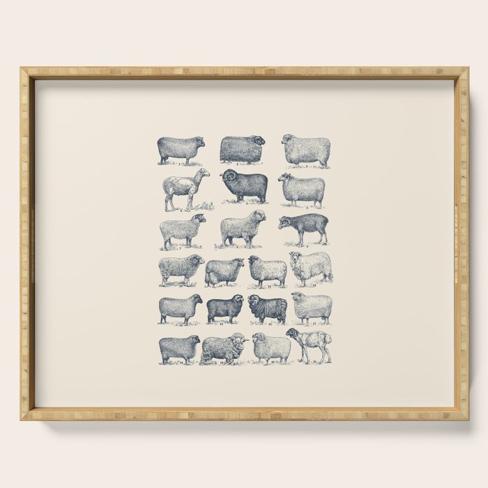 Types of Sheep Serving Tray Gallery Image 1