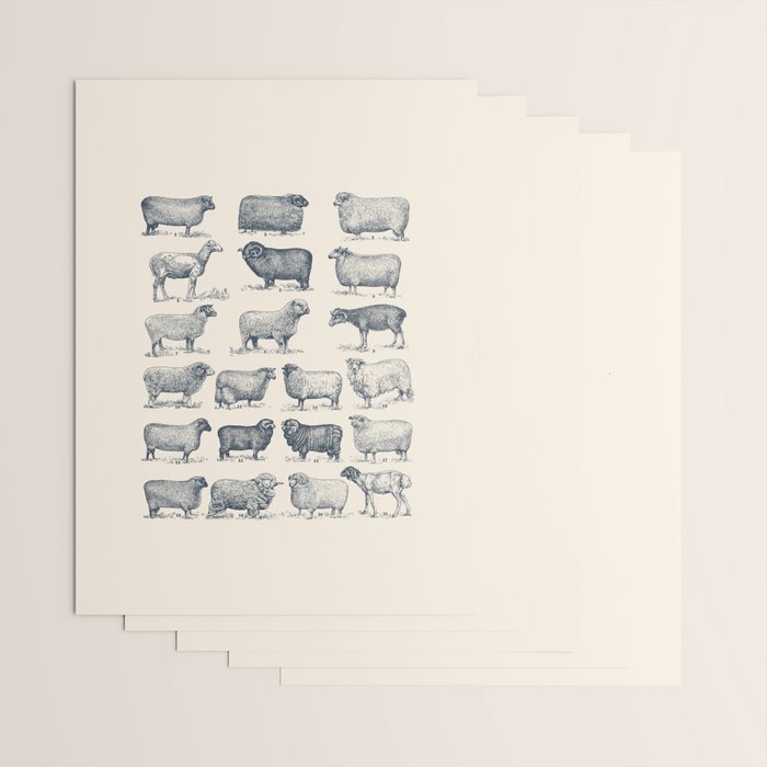 Types of Sheep Wrapping Paper Gallery Image 3