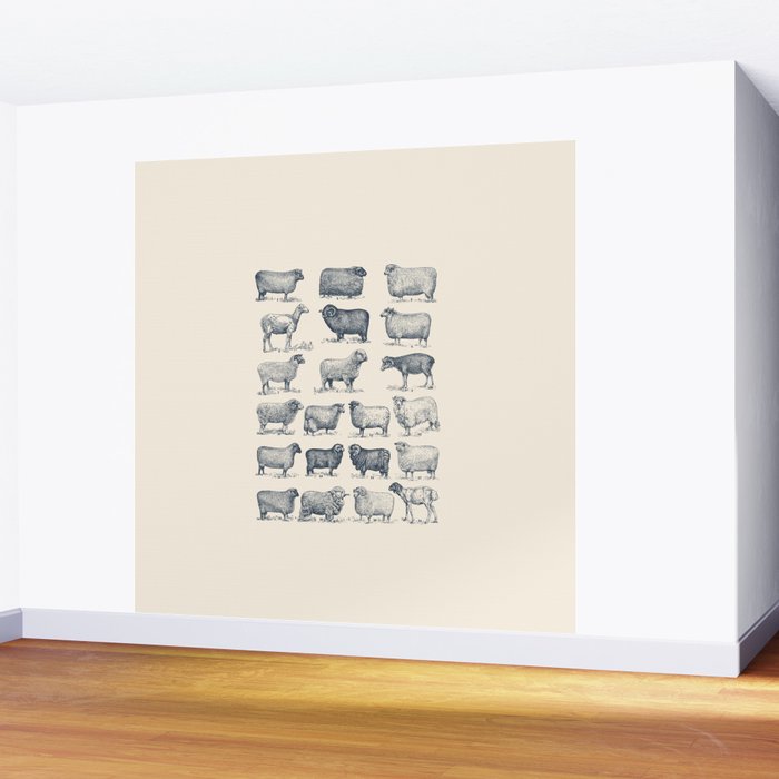 Types of Sheep Wall Mural Gallery Image 2
