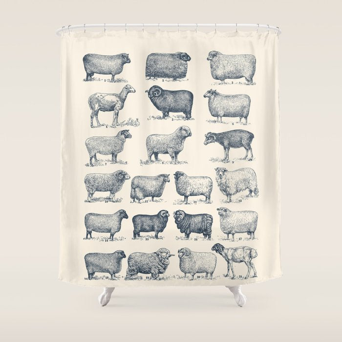 Types of Sheep Shower Curtain Gallery Image 1