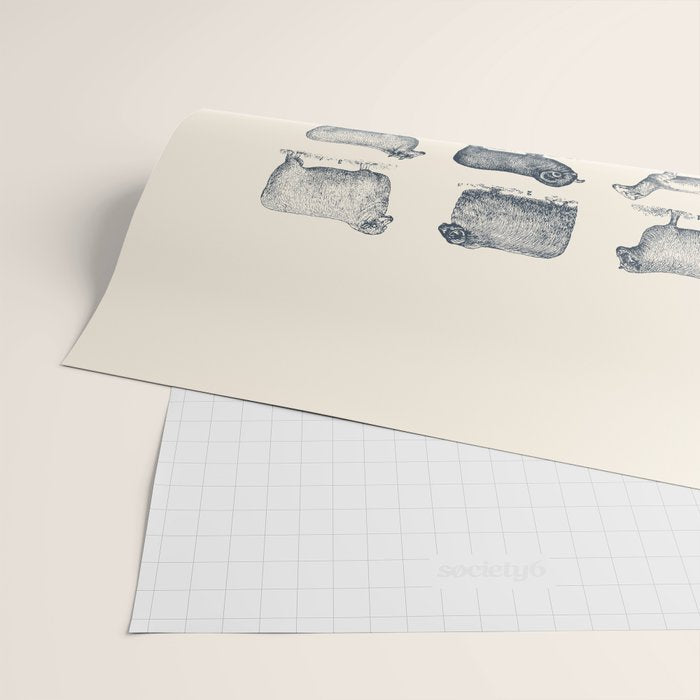 Types of Sheep Wrapping Paper Gallery Image 2