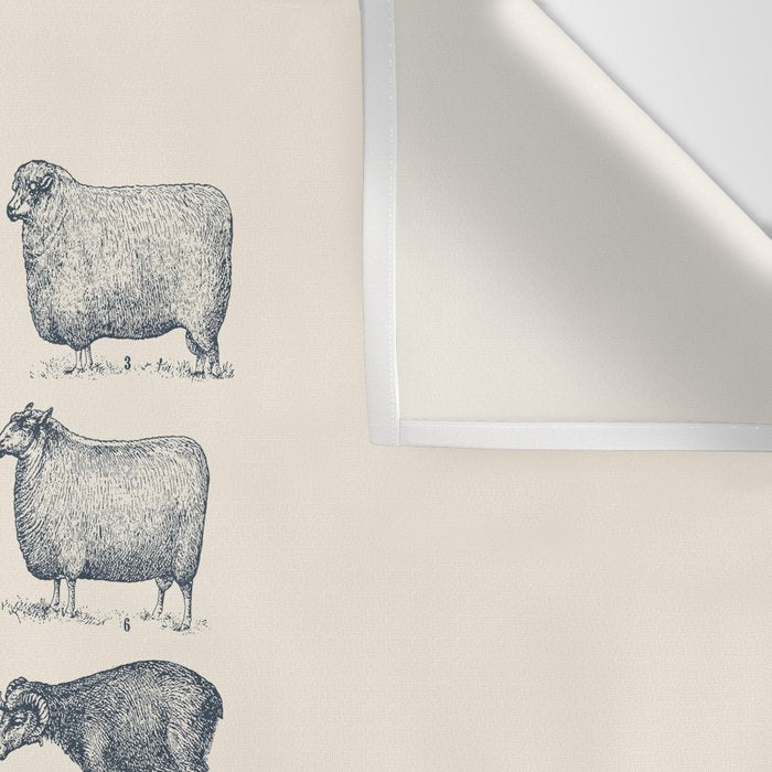 Types of Sheep Wall Tapestry Gallery Image 3