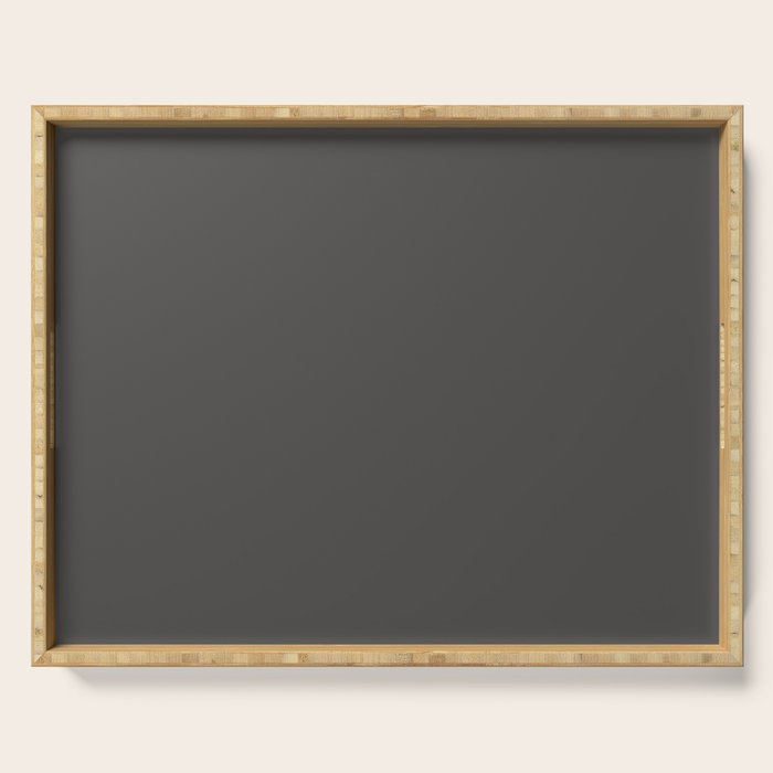 Solid Gray Grey Color Serving Tray Gallery Image 1