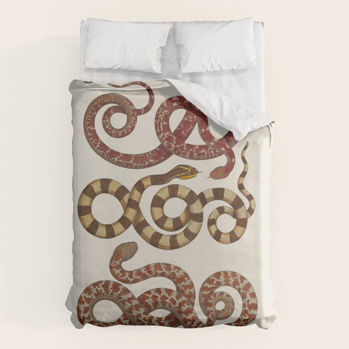 Albertus Seba A detailed description of the richest treasure of natural things Duvet Cover Gallery Image 6
