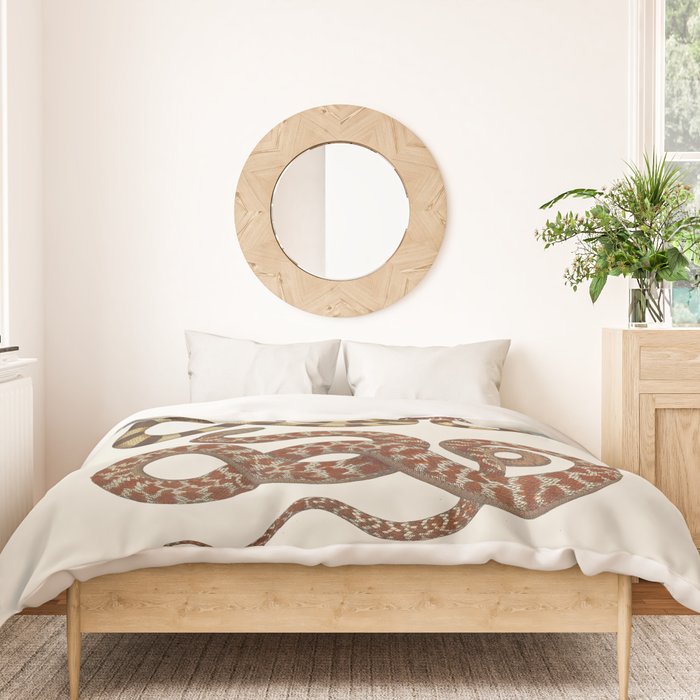 Albertus Seba A detailed description of the richest treasure of natural things Duvet Cover Gallery Image 3