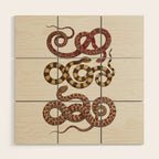 Albertus Seba A detailed description of the richest treasure of natural things Wood Wall Art Gallery Image 1
