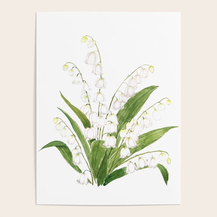 white lily of valley Poster Gallery Image 4