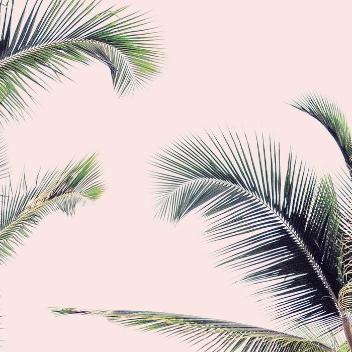 Palm Trees in La La Land - California Photography Coffee Mug Gallery Image 2