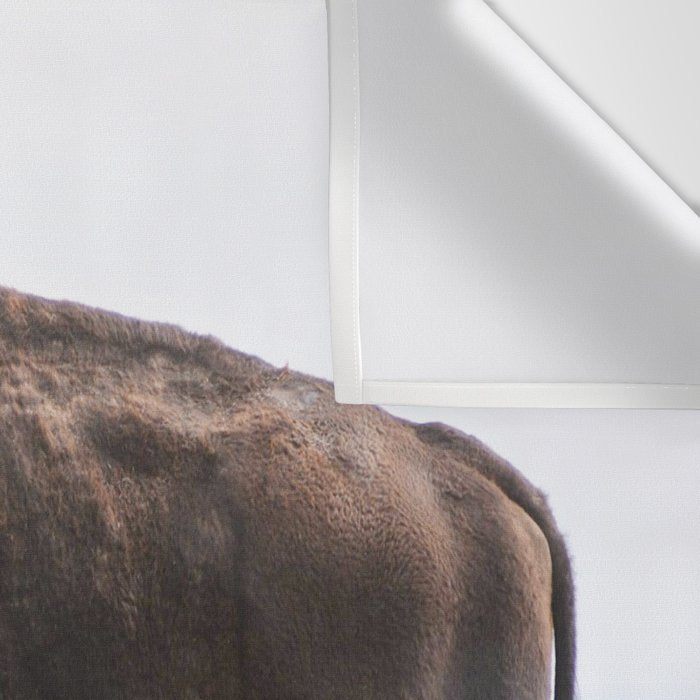Bison Whisper Wall Tapestry Gallery Image 3