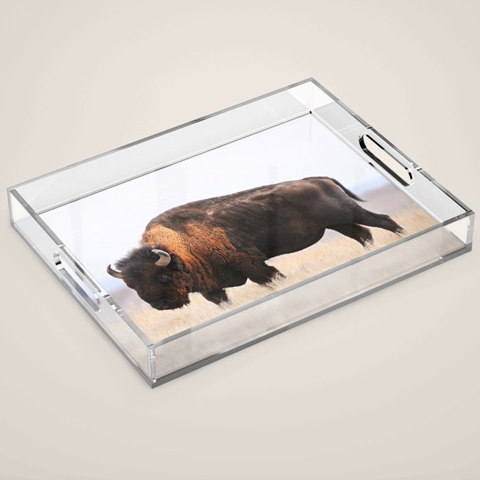 Bison Whisper Acrylic Tray Gallery Image 1
