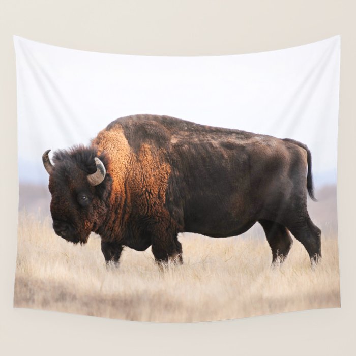 Bison Whisper Wall Tapestry Gallery Image 4