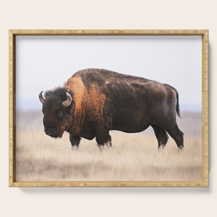 Bison Whisper Serving Tray Gallery Image 1