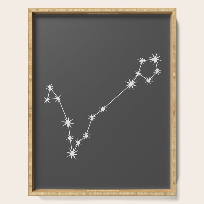 Pisces Zodiac Star Constellation Line Art Grey Serving Tray Gallery Image 1