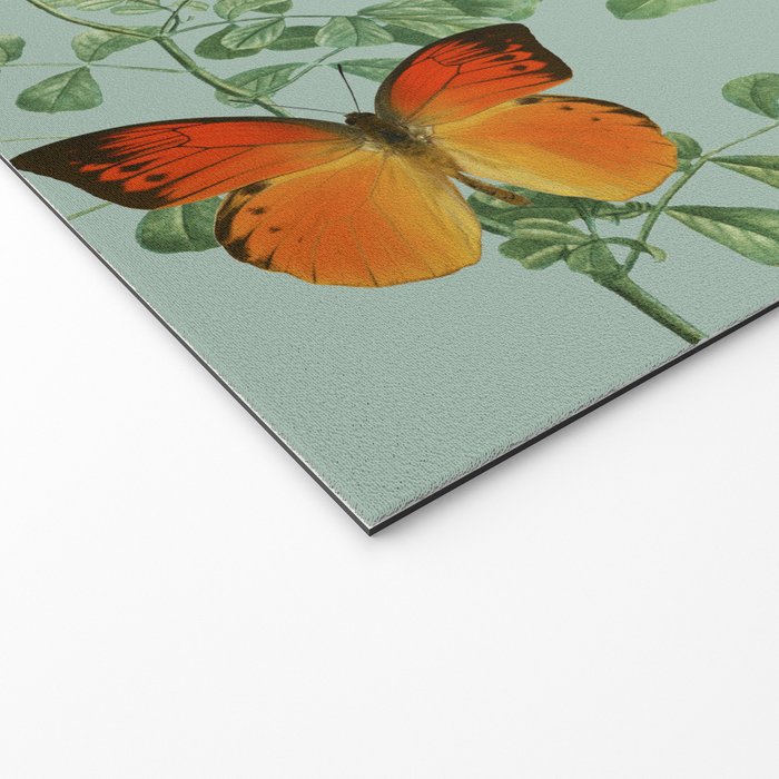Butterfly Fling Welcome Mat Gallery Image 2